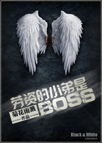 (ϵͳ)ʵСBOSS