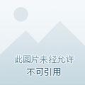 至尊狂妃by无笑也欢